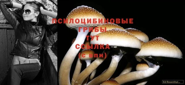 марки nbome Апатиты