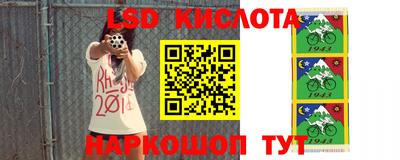 гидра Берёзовский
